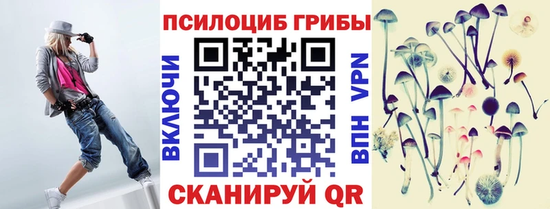 сколько стоит  Дудинка  Галлюциногенные грибы Psilocybe 